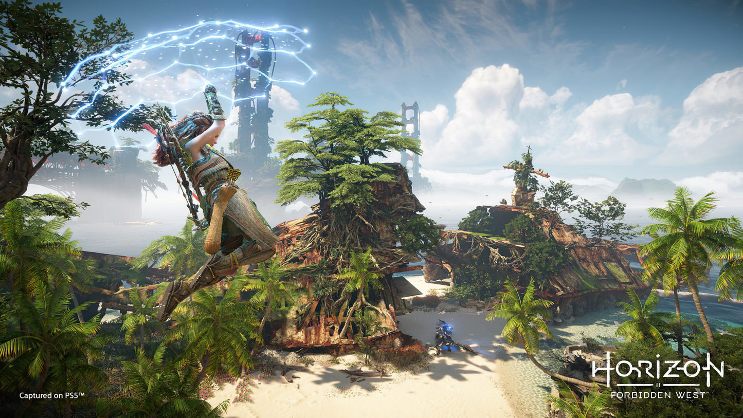 Horizon Forbidden West PS4 Account