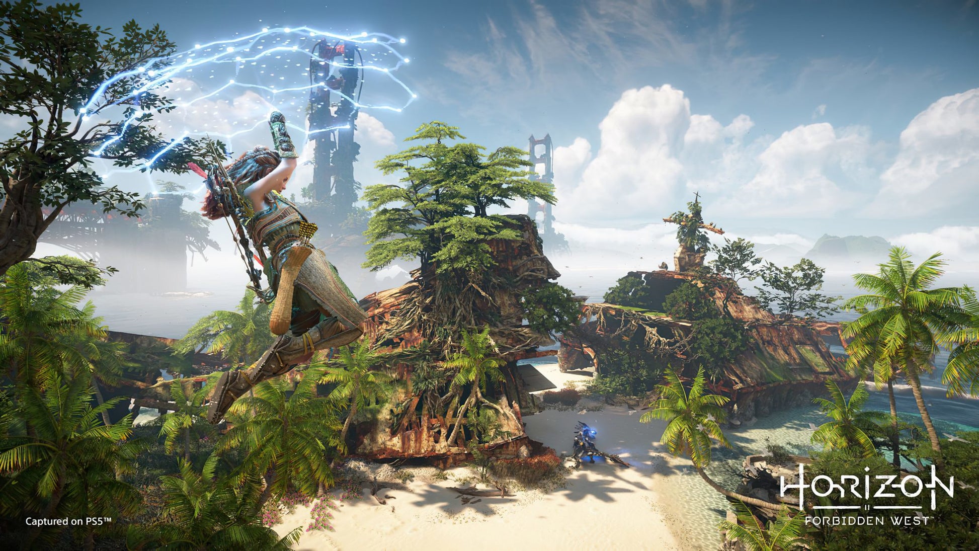 Horizon Forbidden West PS4 Account