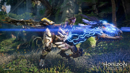 Horizon Forbidden West PS4/PS5 Online Account Activation