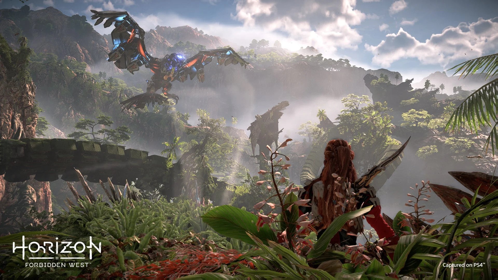 Horizon Forbidden West PS5 Account