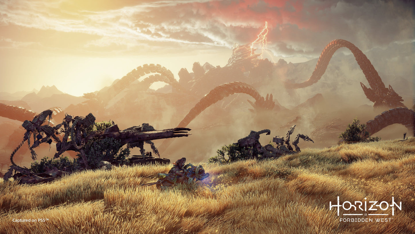 Horizon Forbidden West PS5 Account