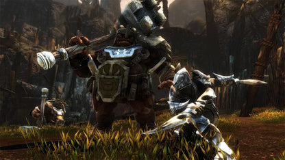 Kingdoms of Amalur: Reckoning EU Nintendo Switch CD Key