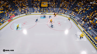 NHL 25 - 250 NHL Points EU PS5 CD Key