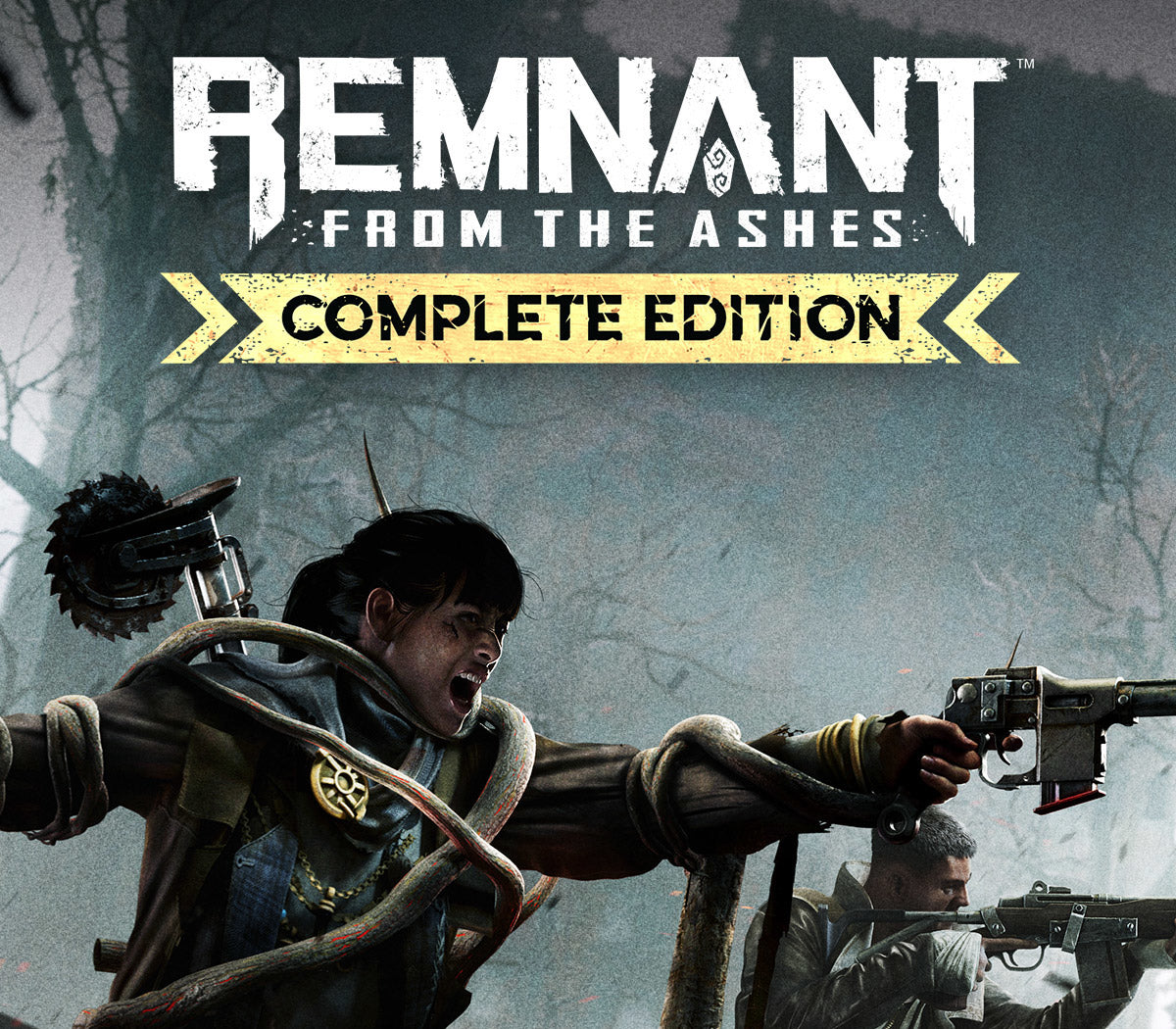 Remnant: From the Ashes Complete Edition PS4 Account