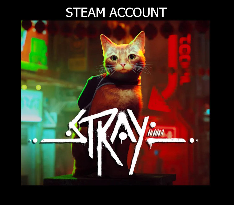 Stray PS4 Account