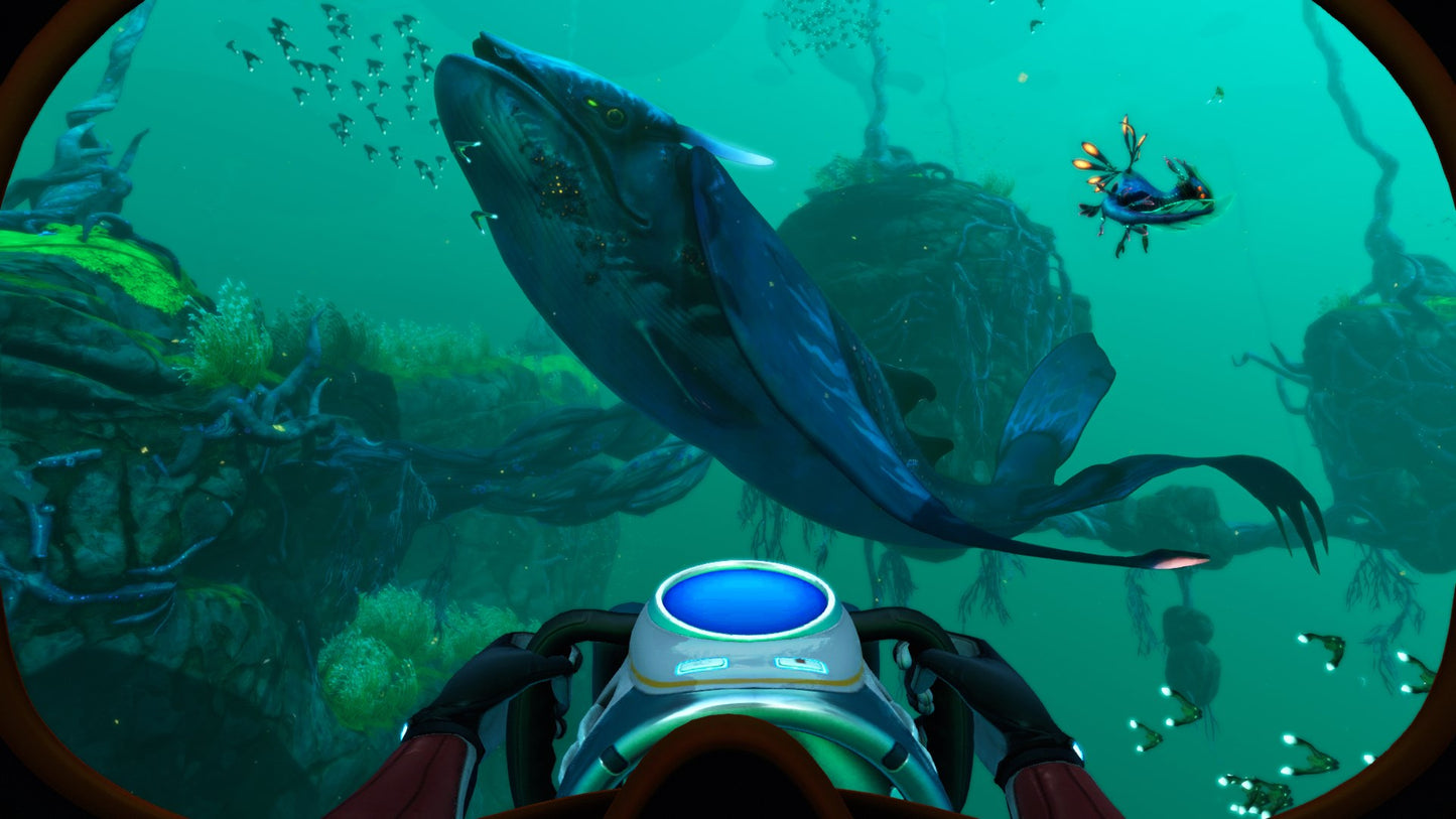 Subnautica: Below Zero PlayStation 4/5 Account