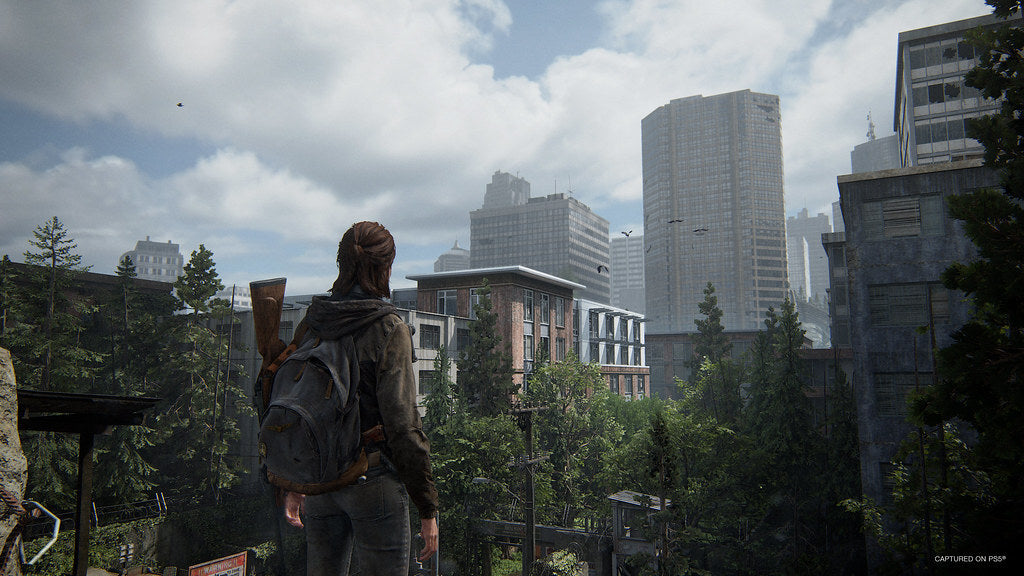 The Last Of Us Complete PS5 Account