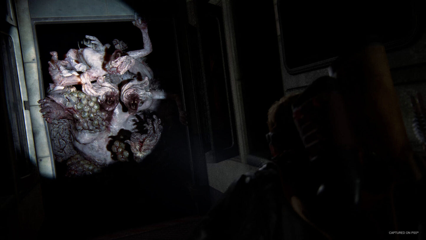 The Last Of Us Part 2 Remastered PS5 Account