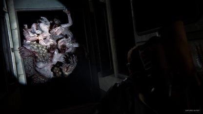 The Last Of Us Part 2 Remastered PS5 Account