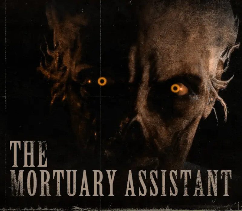 The Mortuary Assistant PS4/PS5 Account