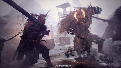 The Nioh Collection PS4 Account
