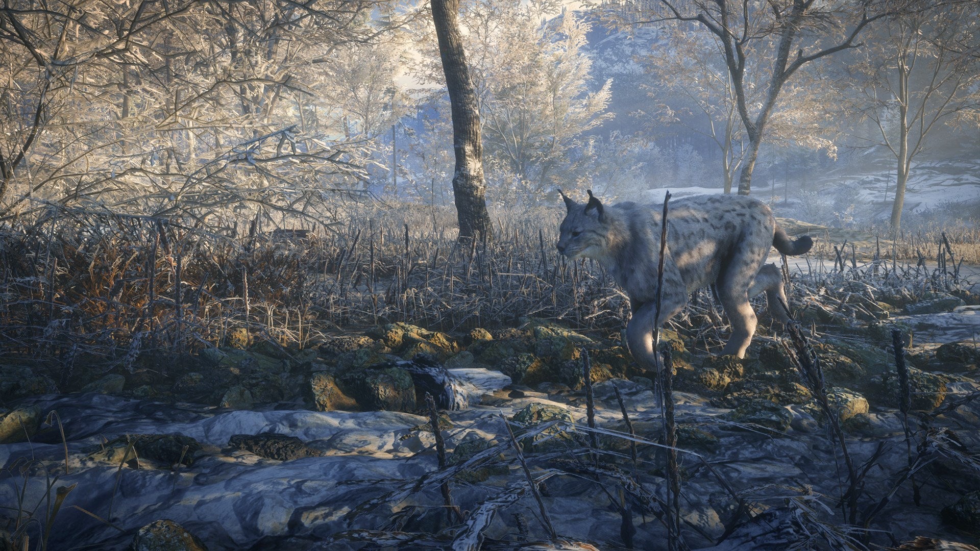 theHunter: Call of the Wild Silver Bundle US XBOX One CD Key