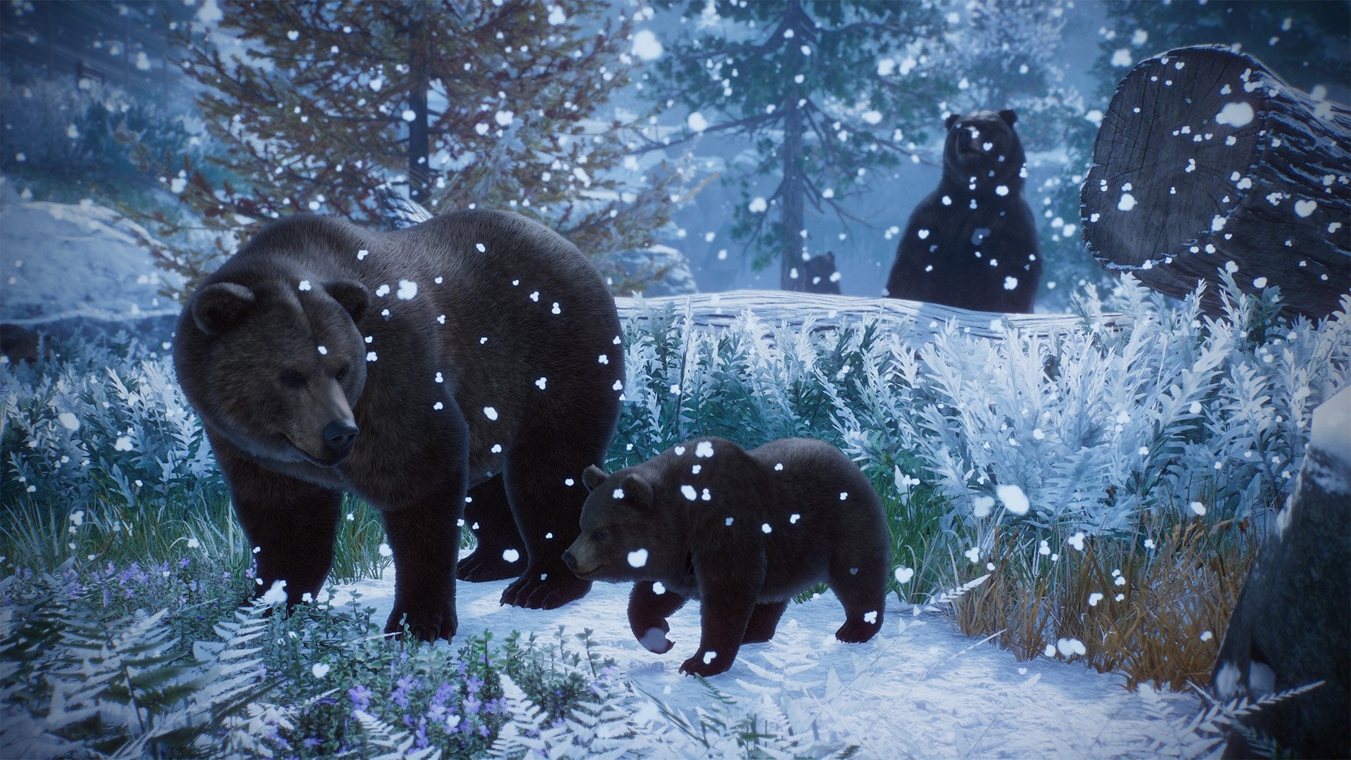 Planet Zoo: Ultimate Edition AU Xbox Series X|S CD Key