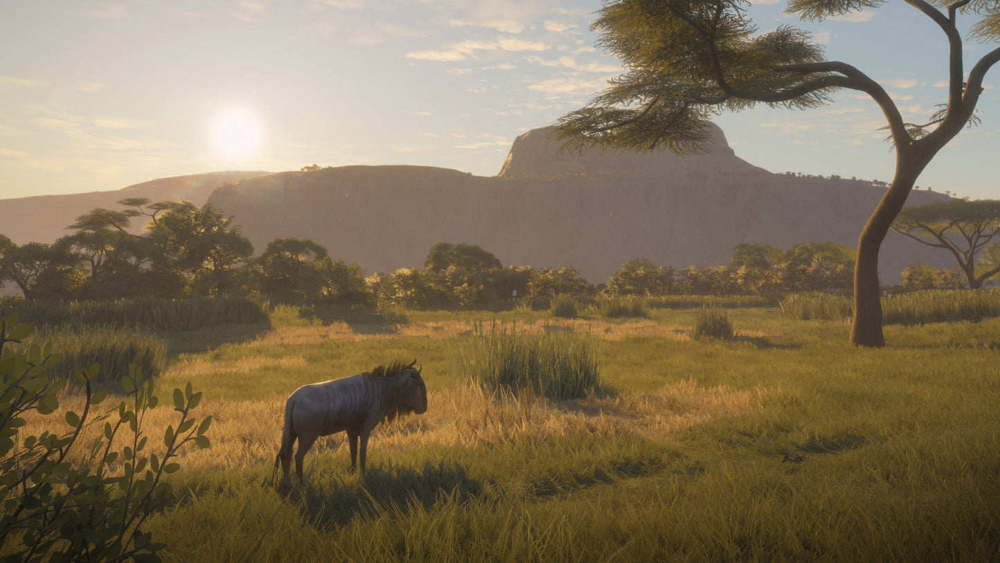 theHunter: Call of the Wild Silver Bundle US XBOX One CD Key