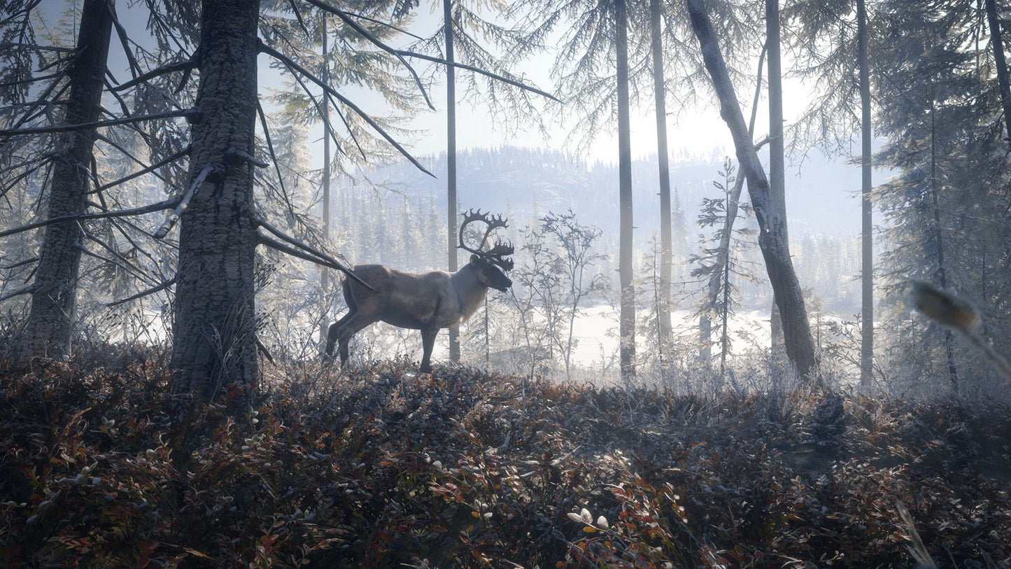 theHunter: Call of the Wild Silver Bundle US XBOX One CD Key
