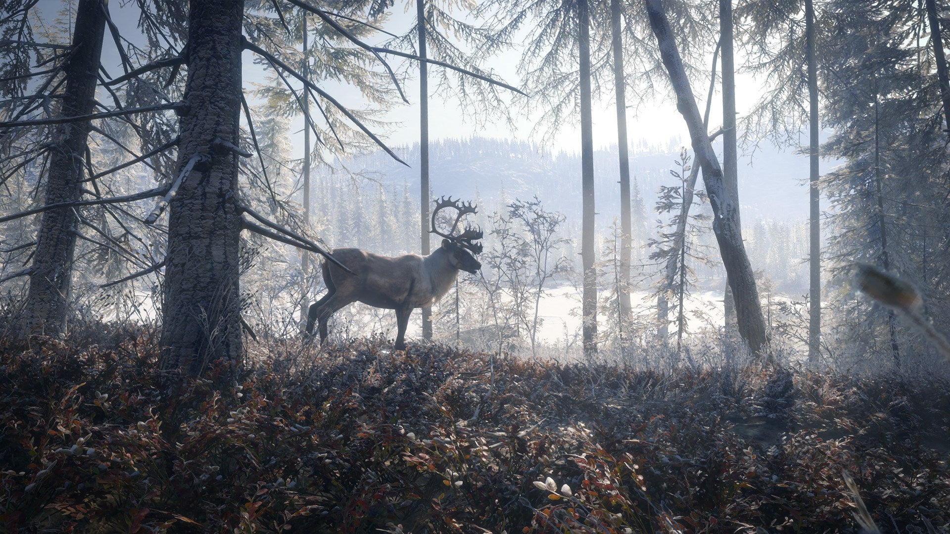 theHunter: Call of the Wild Silver Bundle US XBOX One CD Key