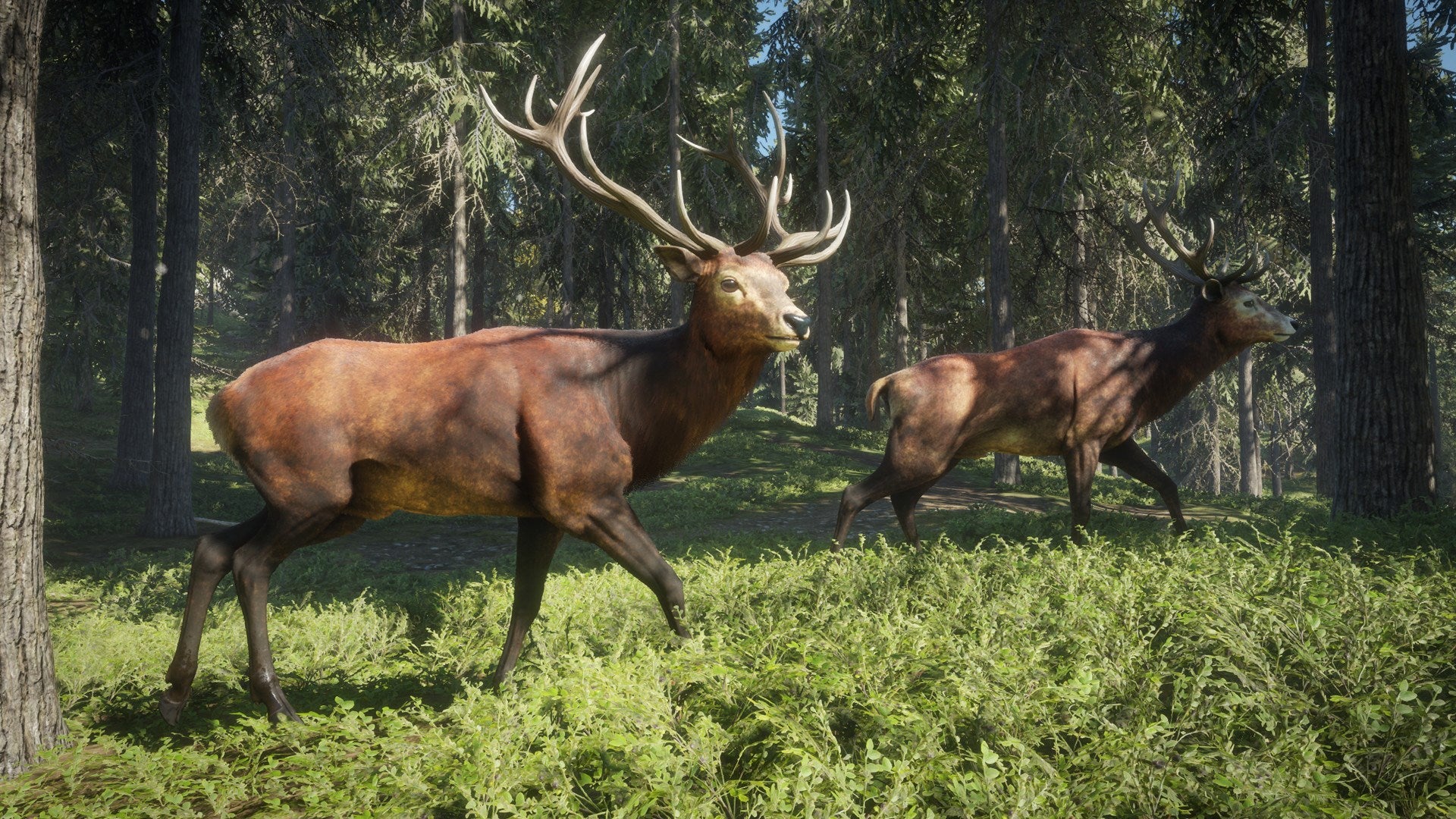 theHunter: Call of the Wild Silver Bundle US XBOX One CD Key