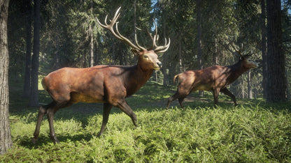 theHunter: Call of the Wild Silver Bundle US XBOX One CD Key