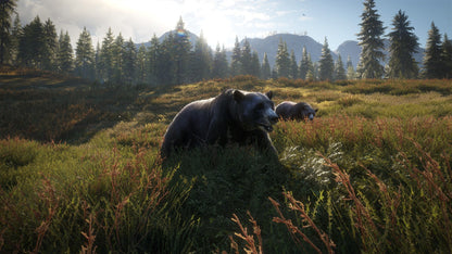 theHunter: Call of the Wild Silver Bundle US XBOX One CD Key