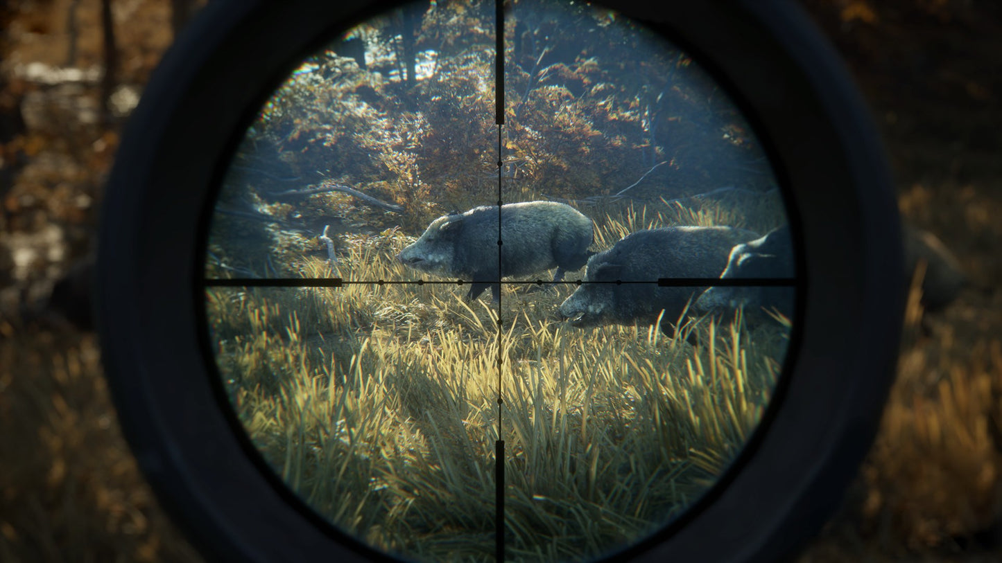 theHunter: Call of the Wild Silver Bundle US XBOX One CD Key
