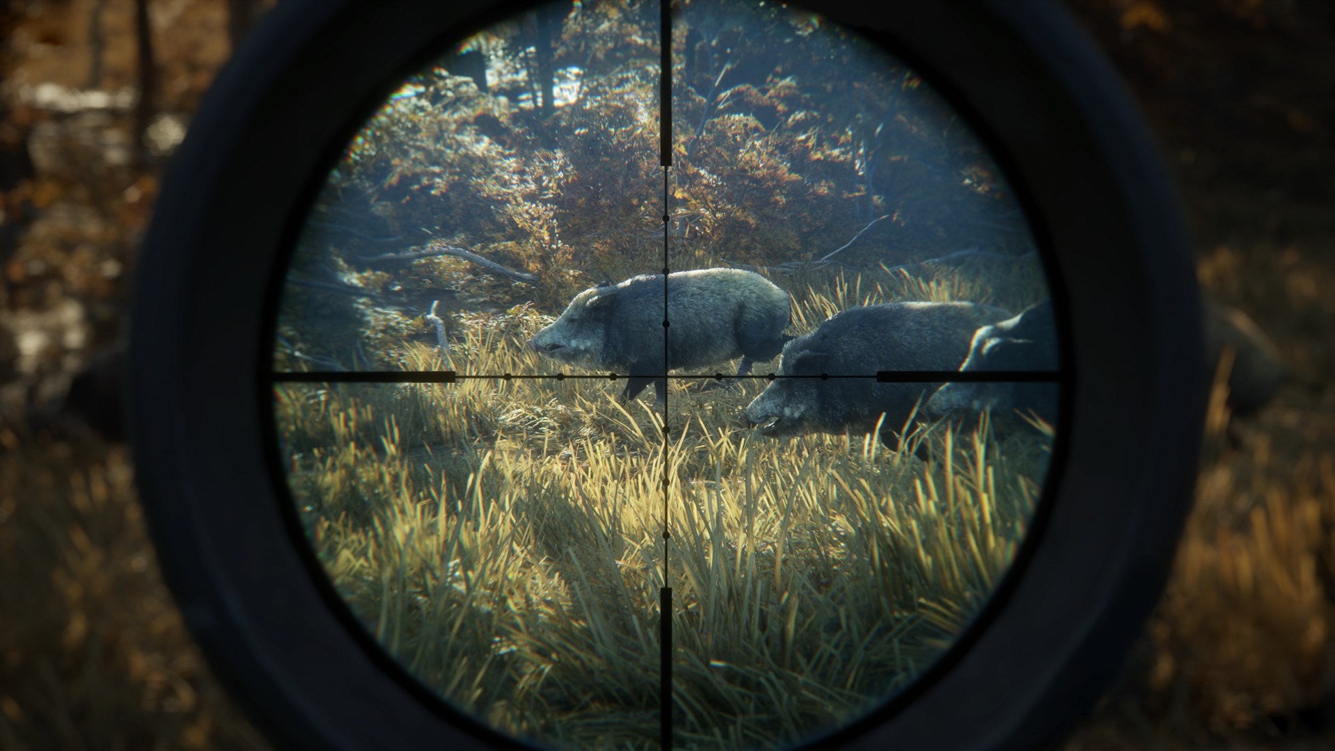 theHunter: Call of the Wild Silver Bundle US XBOX One CD Key