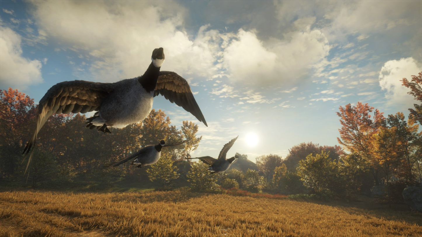 theHunter: Call of the Wild Silver Bundle US XBOX One CD Key