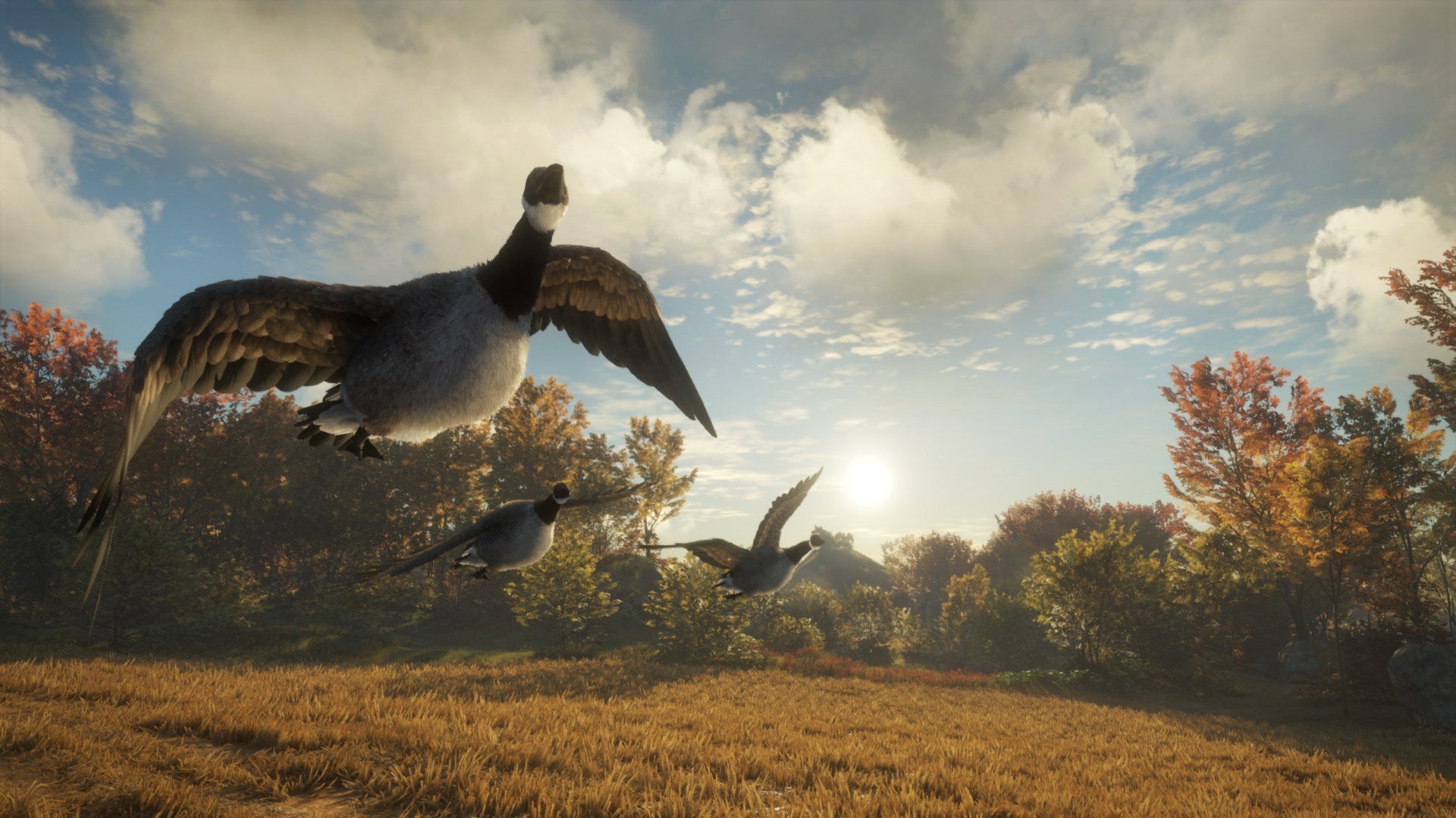 theHunter: Call of the Wild Silver Bundle US XBOX One CD Key