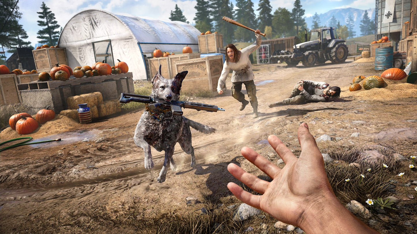 Far Cry Insanity Bundle AR XBOX One CD Key