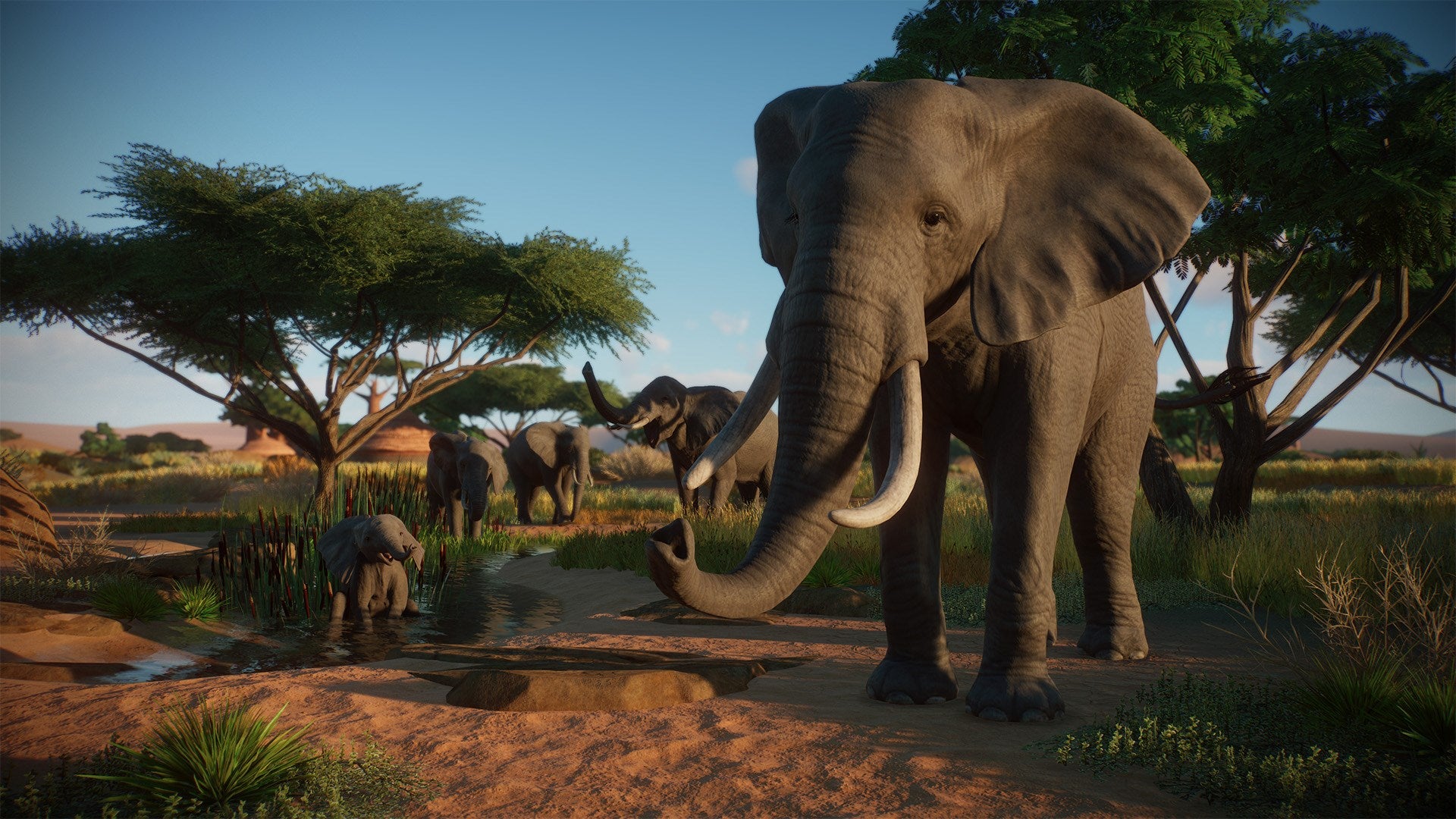 Planet Zoo: Console Edition Xbox Series X|S Account