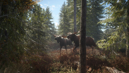 theHunter: Call of the Wild Silver Bundle US XBOX One CD Key