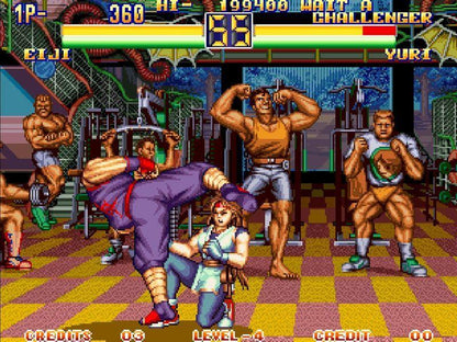 ART OF FIGHTING 2 GOG CD Key