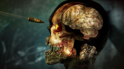 Zombie Army 4: Dead War PS4 Account