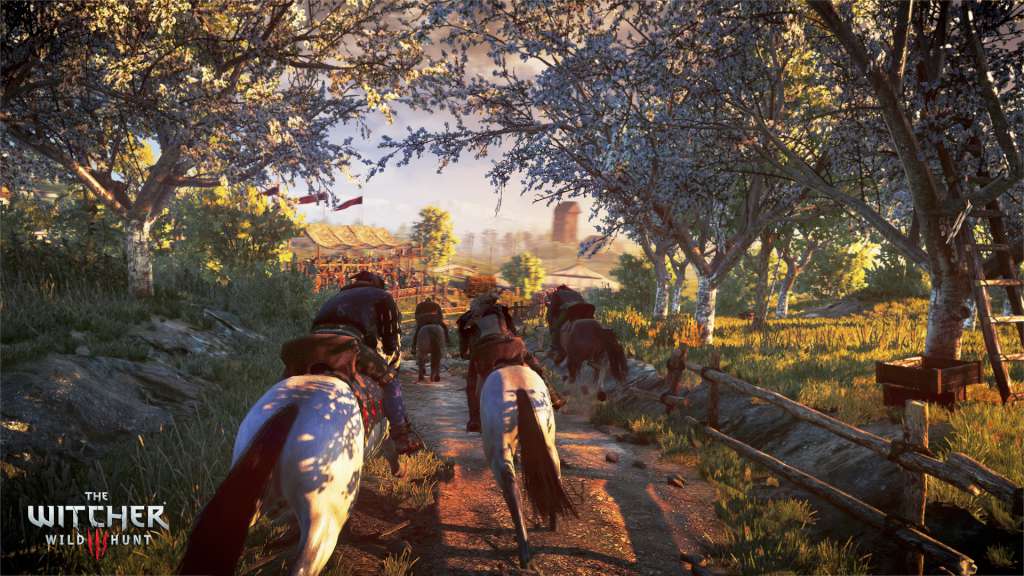 The Witcher 3: Wild Hunt - Hearts of Stone DLC GOG CD Key
