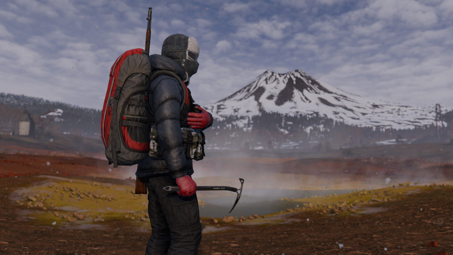 DayZ + Frostline DLC Bundle PC Steam CD Key