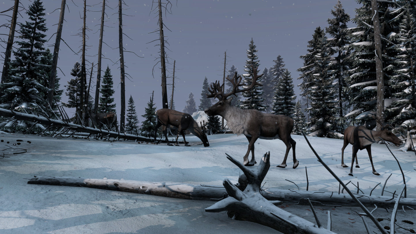 DayZ + Frostline DLC Bundle PC Steam CD Key