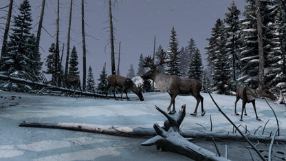 DayZ + Frostline DLC Bundle PC Steam CD Key