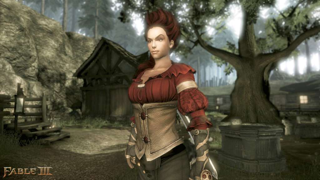 Fable III PC Steam CD Key