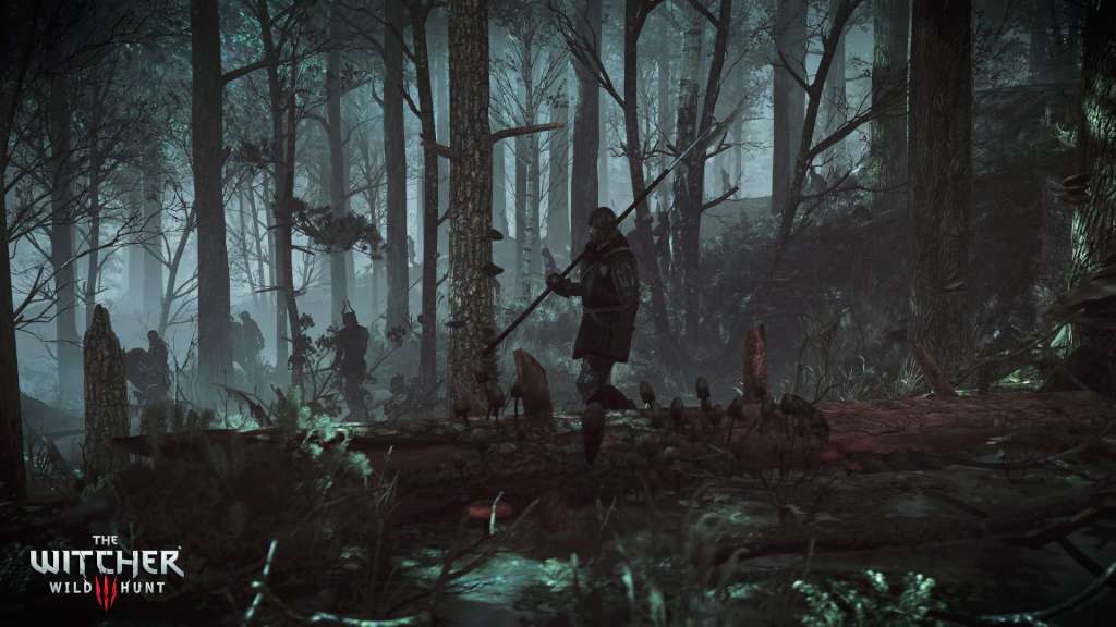 The Witcher 3: Wild Hunt - Hearts of Stone DLC GOG CD Key
