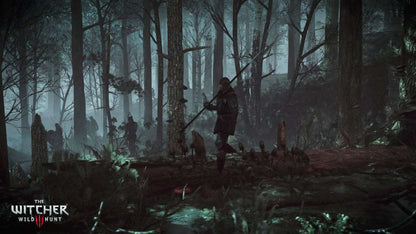 The Witcher 3: Wild Hunt - Hearts of Stone DLC GOG CD Key