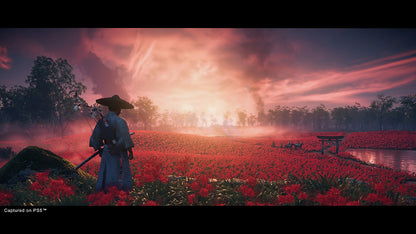 Ghost of Tsushima Director's Cut PS5 Account