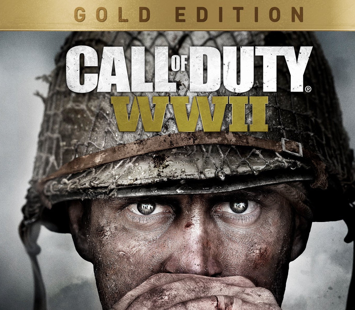 Call of Duty: WWII Gold Edition PS4/PS5 Online Account Activation