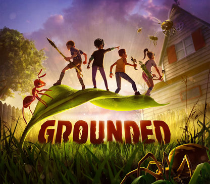 Grounded PS4/PS5 Online Account Activation