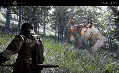 Crimson Desert Xbox Series X|S / PC Online Account Activation
