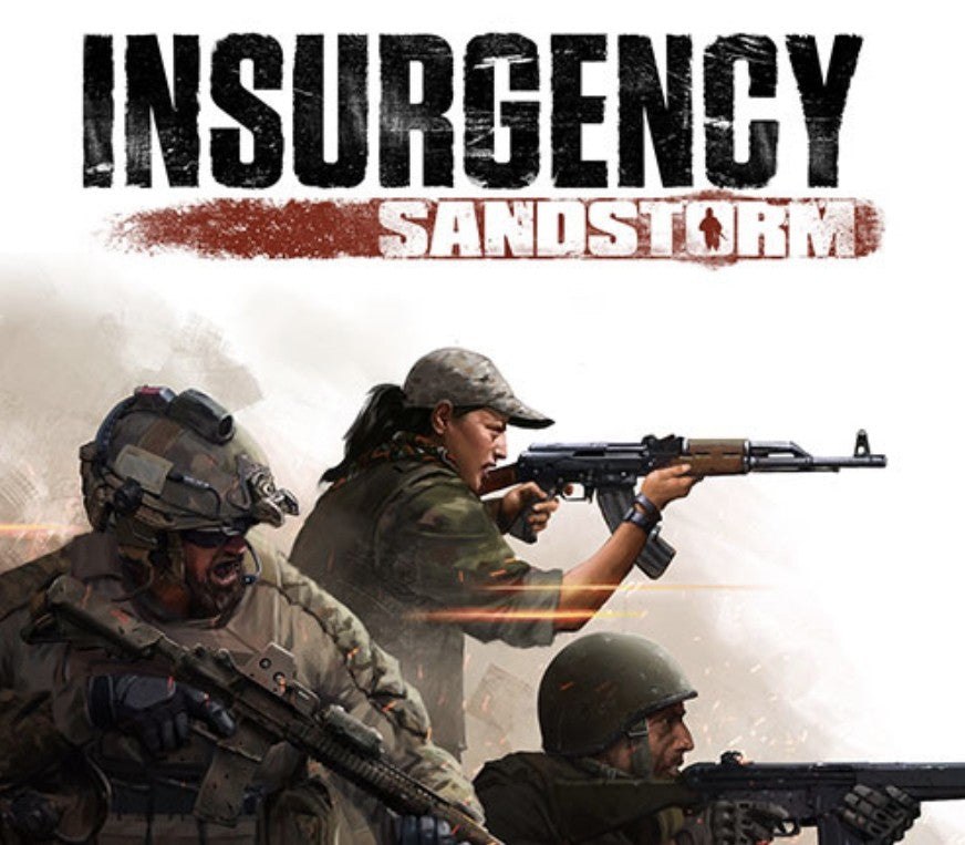 Insurgency: Sandstorm PS4/PS5 Online Account Activation