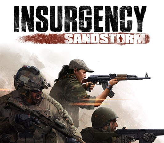Insurgency: Sandstorm PS4/PS5 Online Account Activation