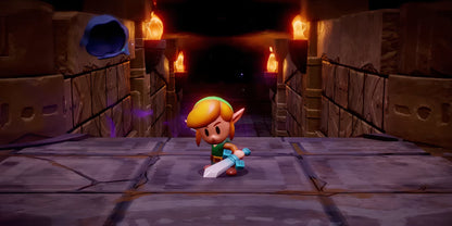The Legend of Zelda: Echoes of Wisdom US Nintendo Switch CD Key
