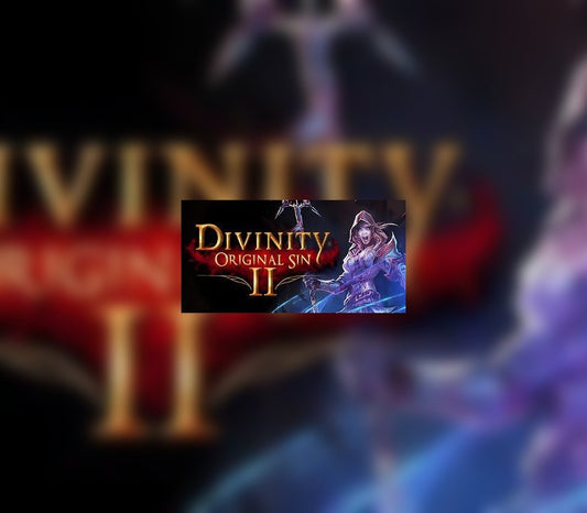 Divinity: Original Sin 2 - Divine Ascension DLC GOG CD Key
