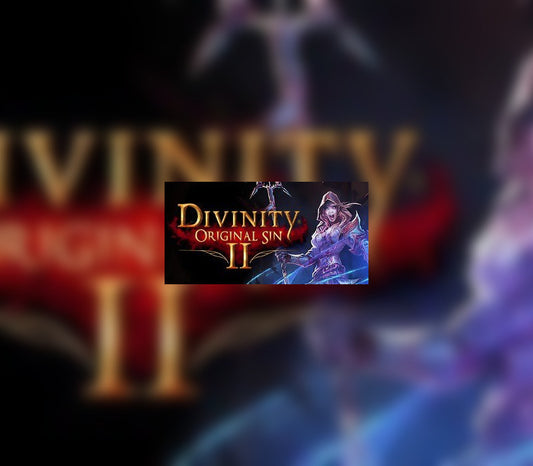 Divinity: Original Sin 2 GOG CD Key