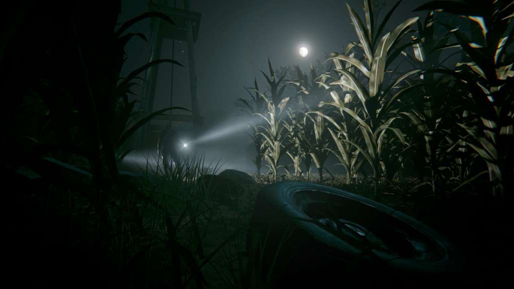 Outlast 2 Nintendo Switch Online Account Activation