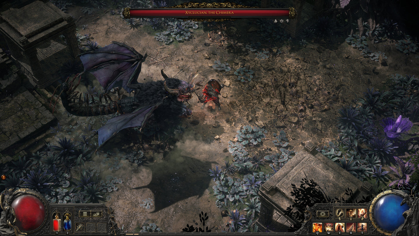Path of Exile 2 - Early Access Supporter Pack RoW PC Steam Altergift